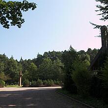 Waldfriedhof, Bild 1310