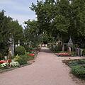 Altstadtfriedhof, Bild 970