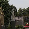 Friedhof, Bild 1041