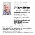 Friedel Heinz