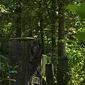 Waldfriedhof, Bild 1151