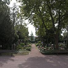 Altstadtfriedhof, Bild 951