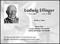 Ludwig Effinger