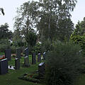 Friedhof, Bild 1271