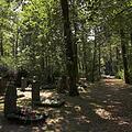 Waldfriedhof, Bild 1191