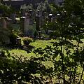 Waldfriedhof, Bild 1291