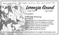 Lorenzia Grund