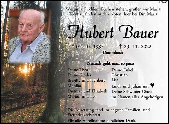 Hubert Bauer