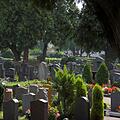 Friedhof, Bild 1052