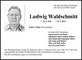 Ludwig Waldschmitt