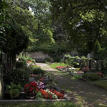 Altstadtfriedhof, Bild 982