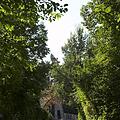 Waldfriedhof, Bild 1292