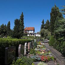 Hauptfriedhof, Ortsfriedhof, Bild 1503