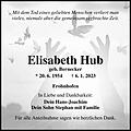 Elisabeth Hub