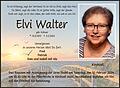 Elvi Walter