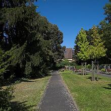 Hauptfriedhof, Ortsfriedhof, Bild 1543