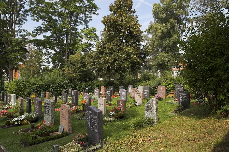 41_Friedhof Schweinheim
