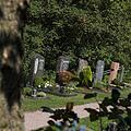 Friedhof, Bild 1353