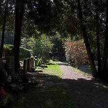 Waldfriedhof, Bild 1283