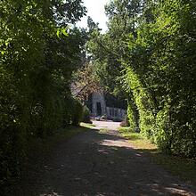 Waldfriedhof, Bild 1293