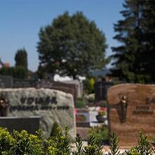 Hauptfriedhof, Ortsfriedhof, Bild 1493