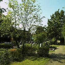 Friedhof, Bild 1593