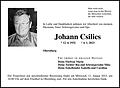 Johann Csilics