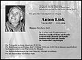 Anton Link