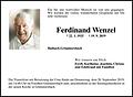 Ferdinand Wenzel
