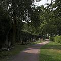 Altstadtfriedhof, Bild 944