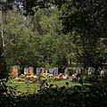 Waldfriedhof, Bild 1164