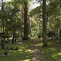 Waldfriedhof, Bild 1194