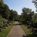 Friedhof, Bild 1394