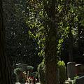 Waldfriedhof, Bild 1125