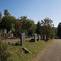 Friedhof, Bild 1425