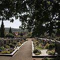 Hauptfriedhof, Ortsfriedhof, Bild 1535