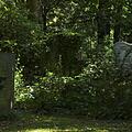 Waldfriedhof, Bild 1145