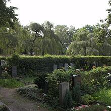 Altstadtfriedhof, Bild 945