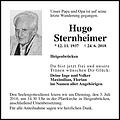 Hugo Sternheimer