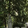Waldfriedhof, Bild 1175