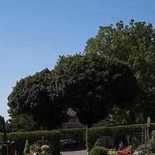 Hauptfriedhof, Ortsfriedhof, Bild 1506