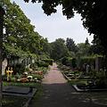 Altstadtfriedhof, Bild 936