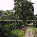 Altstadtfriedhof, Bild 946