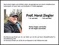 Prof. Horst Ziegler
