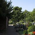 Friedhof, Bild 1596