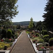 Hauptfriedhof, Ortsfriedhof, Bild 1537