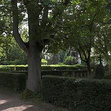 Altstadtfriedhof, Bild 937