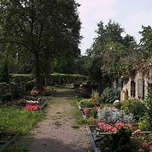 Altstadtfriedhof, Bild 947