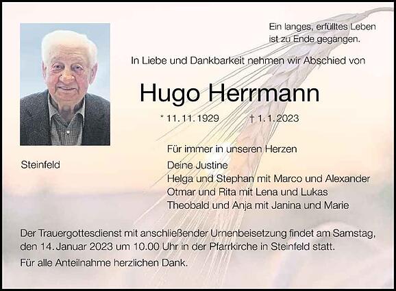Hugo Herrmann