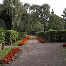 Altstadtfriedhof, Bild 957